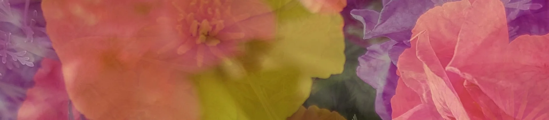 Boucles d'oreilles artisanales